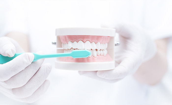 予防・メンテナンス